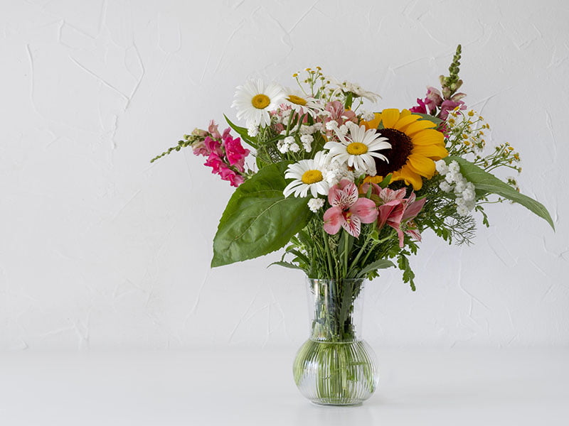 How to keep your flower fresh?