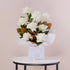 Tranquil Remembrance, Funeral&