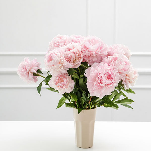 terms conditions top 02