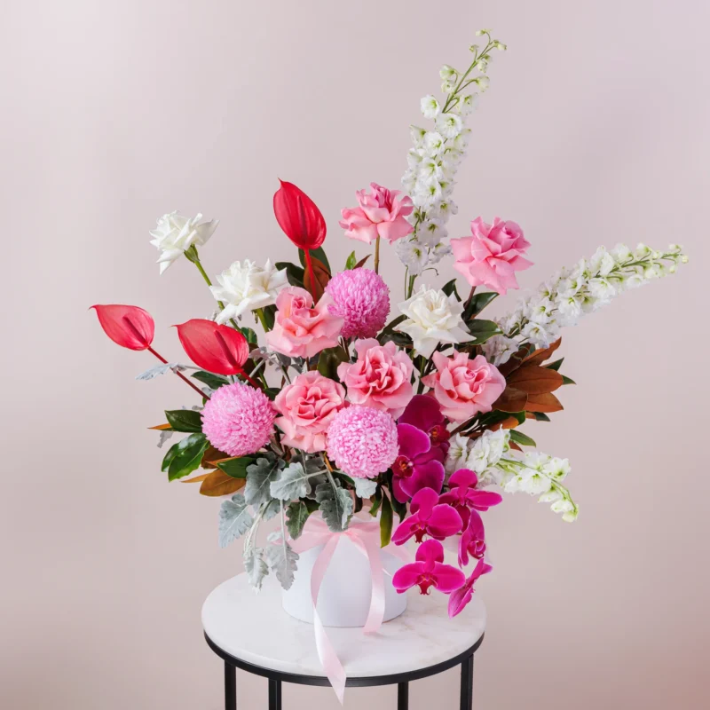 Thai Lotus Revealed: The Mind-Blowing Secret Behind Its Enchanting Bloom