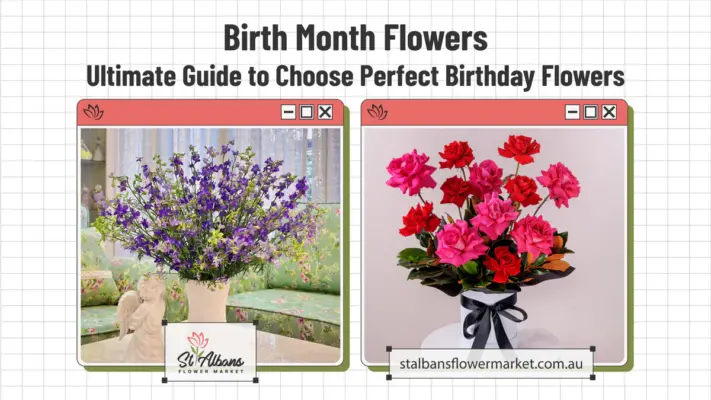Birth Month Flowers, Ultimate Guide to Choose Perfect Birthday Flowers 12 Birth Month Flowers, Ultimate Guide to Choose Perfect Birthday Flowers