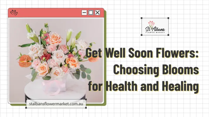 Get Well Soon Flowers: Choosing Blooms for Health and Healing 10 Get Well Soon Flowers: Choosing Blooms for Health and Healing