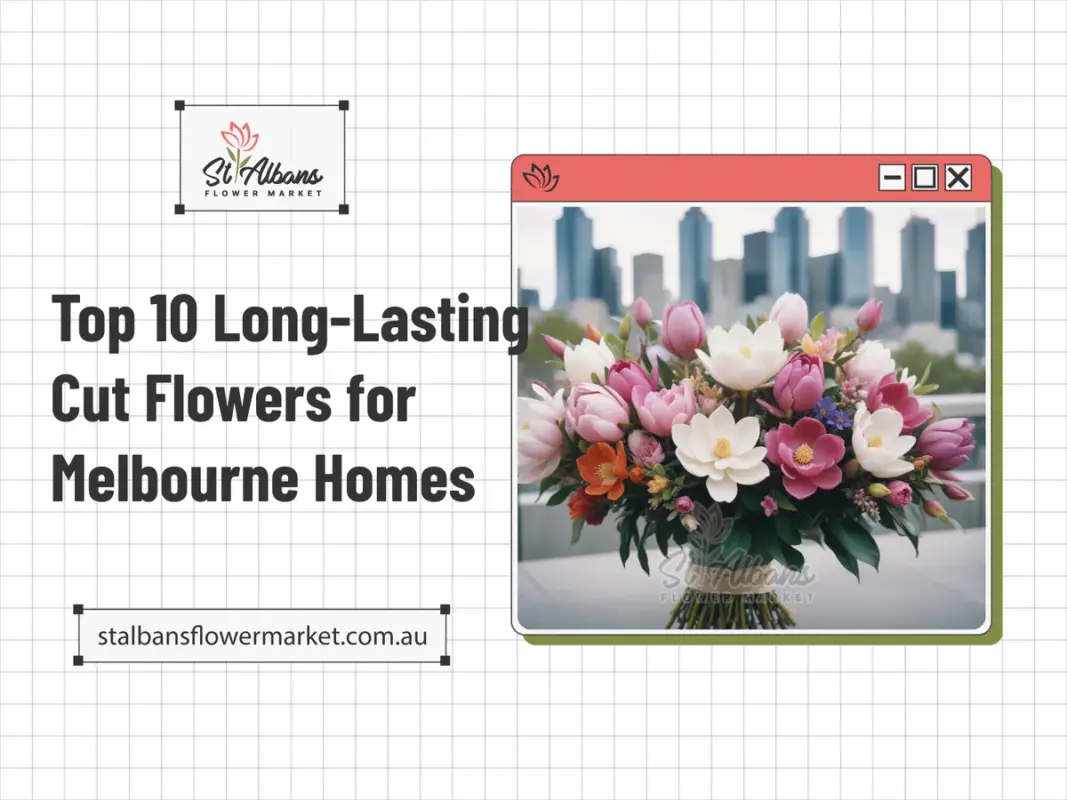 Top 10 Long-Lasting Cut Flowers for Melbourne Homes 18 Top 10 Long-Lasting Cut Flowers for Melbourne Homes