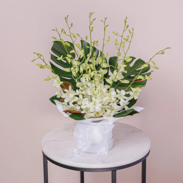 Everlasting Serenity Hatbox Same-Day Funeral Flowers Melbourne